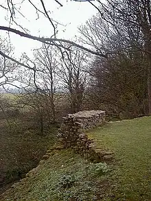 Remains of fortifications at the Stanwick hillfort, England