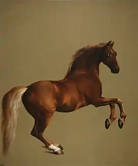 George Stubbs, Whistlejacket, c. 1762