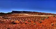 The White Rim in Canyonlands National Park