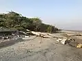 White Sand Beach with wooden log in Bakkhali