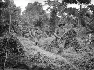 Infantry men with small arms patroling through the jungle