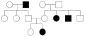 In an autosomal recessive disorder, both parents can not express the trait, however, if both are carriers, their offspring can express the trait. Autosomal recessive disorders typically skip a generation, so affected offspring typically have unaffected parents. With an autosomal recessive disorder, both males and females are equally likely to be affected.