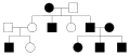 In a X-linked recessive disorder, males are more likely to be affected than females. Affected sons typically have unaffected mothers. The father also must be affected for daughter to be affected and the mother must be affected or a carrier for the daughter to be affected. The disorder is also never passed from father to son. Only females can be carriers for the disorders. X-linked recessive disorders also typically skip a generation.