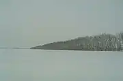 Southern Siberian steppe: windbreaker trees in the wintertime