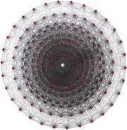 Witting polytope, , has 240 vertices, 2160 3-edges, 2160 3{3}3 faces, and 240 3{3}3{3}3 cells