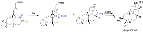 Synthesis of (±)-aphidicolin