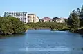 Confluence of Wolli Creek and the Cooks River, near Tempe.