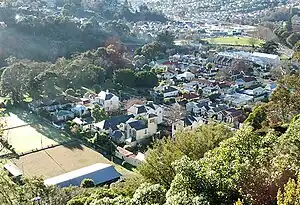 Woodhaugh and the mouth of the Leith Valley, seen from Prospect Park immediately to the south. The Gardens Corner, at the mouth of North East Valley, is visible in the background, top right.