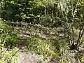 Woven hazel deadhedge behind pond, blocking informal paths that formed during the COVID-19 lockdowns