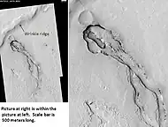 Wrinkle Ridge and pit showing layers, as seen by HiRISE. Click on image to see layers. Scale bar is 500 meters long.