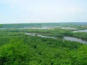 Delta at the Mississippi River, seen from Wyalusing State Park