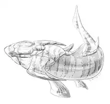 Xiushanosteus is the oldest known placoderm from the early Silurian (Telychian) of China