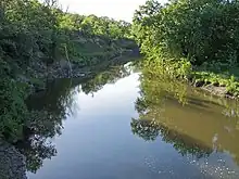 Looking down the river with natural embankments of trees and brush