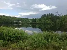 pond with fish hatchery