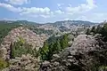 Cherry blossoms on the surrounding hills