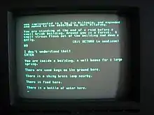 Monitor showing Colossal Cave Adventure