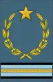 Sleeve insignia of the rank of Marshal of Yugoslavia for the Air Force, used 1945–1980.