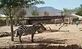 Zebra at the Africa exhibit