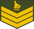 Staff sergeant(Zimbabwe National Army)