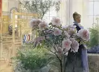 Azalea, 1906