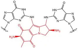 Chemical structure of a DNA crosslink induced by Mitomycin C.