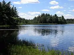 Water next to woods
