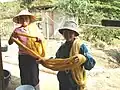 Natural silk dyeing