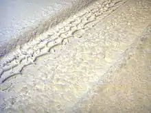 Tracks in the snow