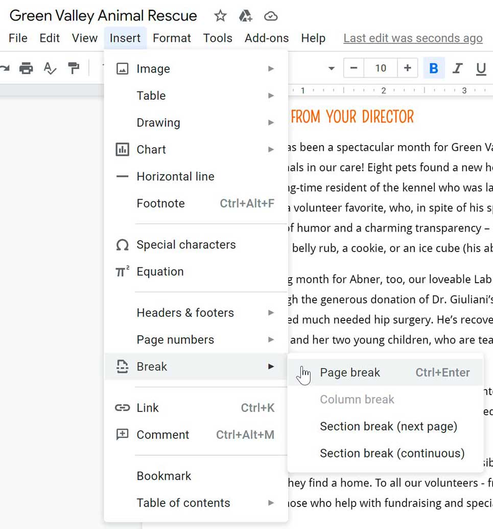 inserting a page break in the document