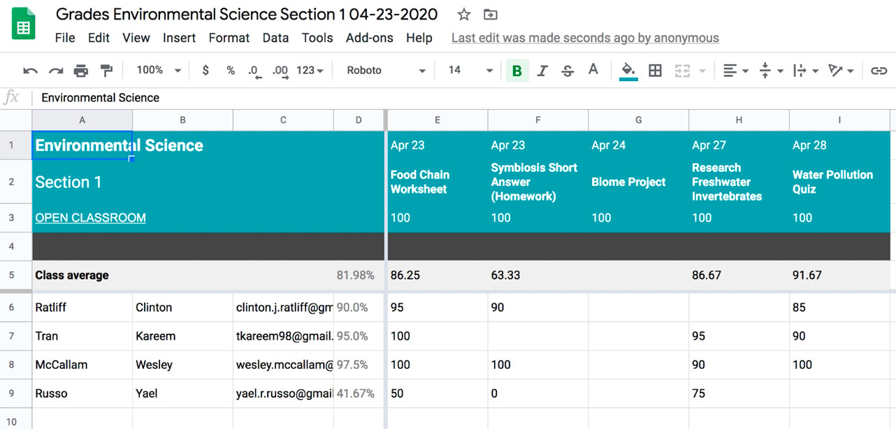 viewing the Google Sheet