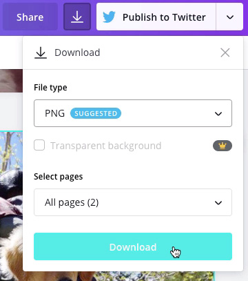 screenshot of "PNG" file type and "Download" button