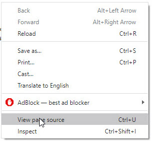 View page source