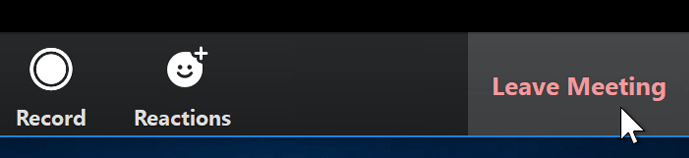 A screenshot of a mouse cursor hovering over the Leave Meeting button in the Zoom app.