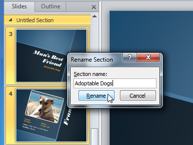 Rename Section dialog box