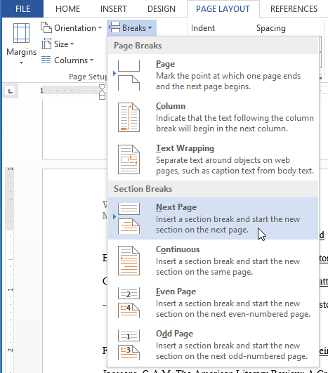 Screenshot of Word 2013