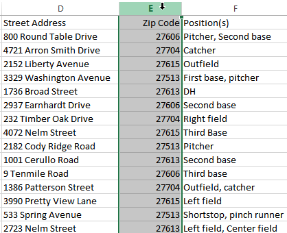 Screenshot of Excel 2013