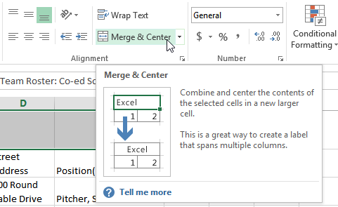 Screenshot of Excel 2013