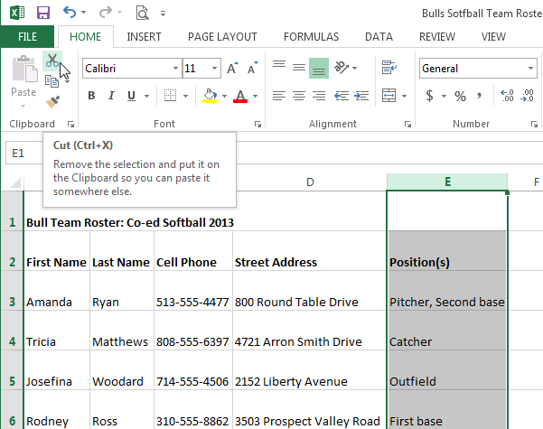 Screenshot of Excel 2013