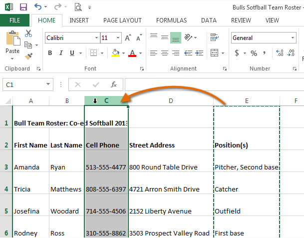 Screenshot of Excel 2013