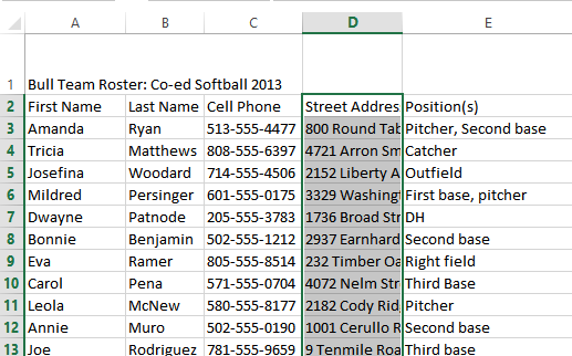 Screenshot of Excel 2013