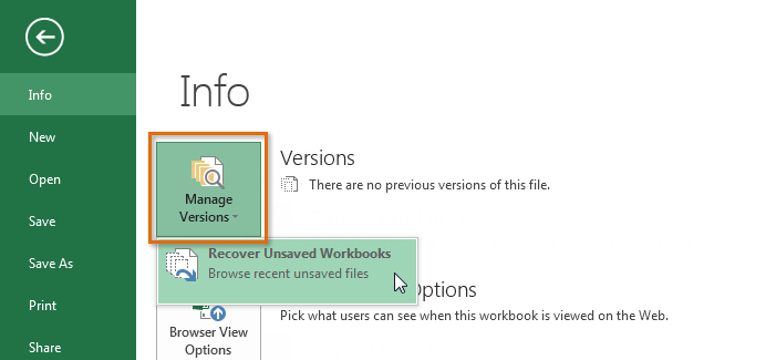 Screenshot of Excel 2013