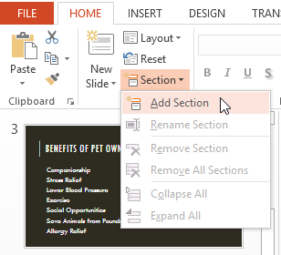 Screenshot of PowerPoint 2013