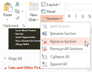 Screenshot of PowerPoint 2013