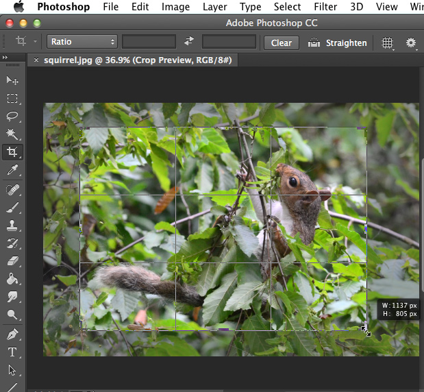 Screenshot of Adobe Photoshop CC