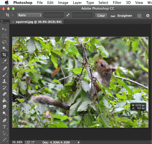 Screenshot of Adobe Photoshop CC