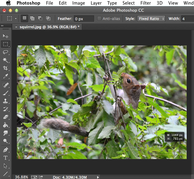 Screenshot of Adobe Photoshop CC