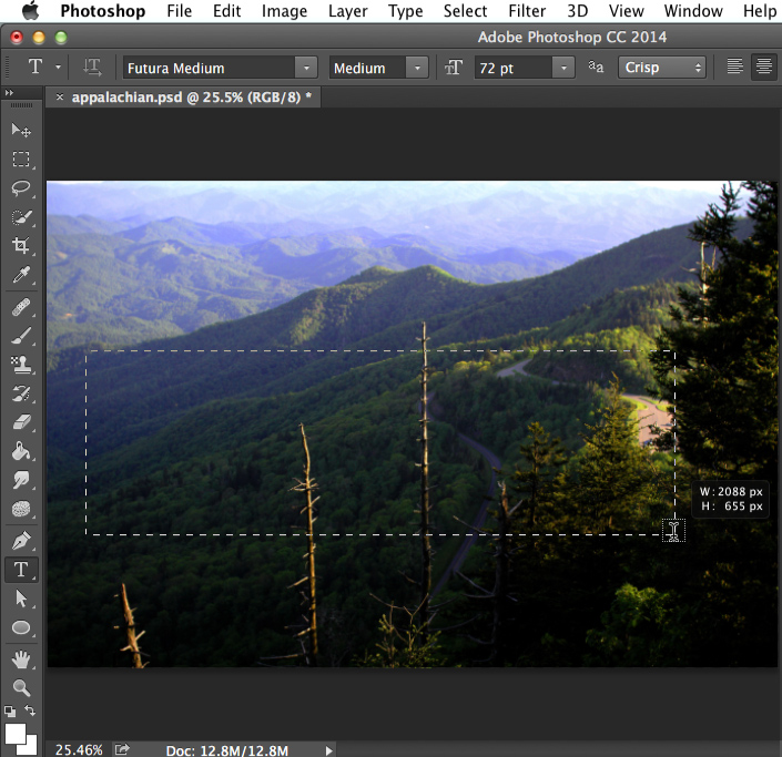 Screenshot of Adobe Photoshop CC