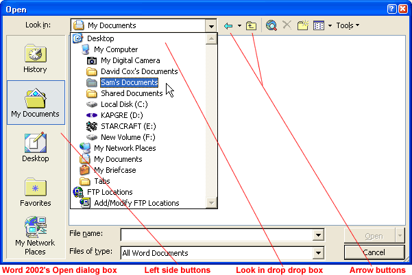 Word 2002's Open dialog box