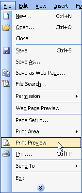 File and Print Preview Menu Selections