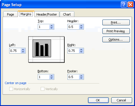 Margins Tab on the Page Setup Dialog Box